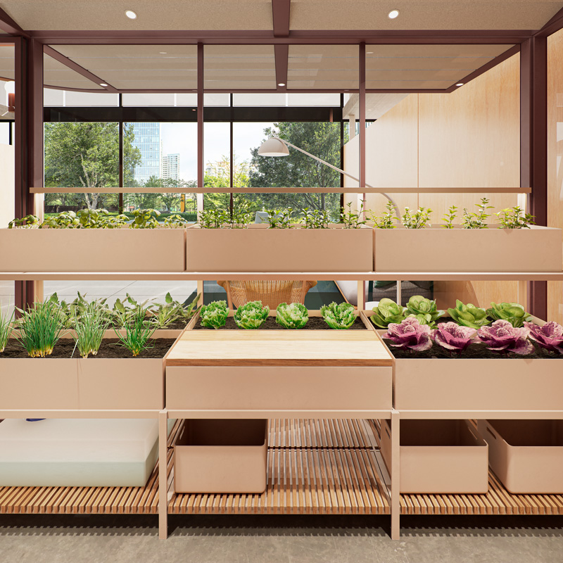 Hydroponic Garden for offices